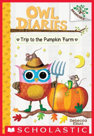 Book cover of Trip to the Pumpkin Farm: A Branches Book (Owl Diaries #11)