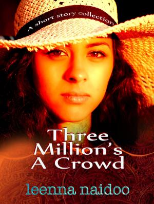 Cover of the book Three Million's A Crowd by Elizabeth Barone