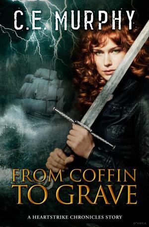 Cover of From Coffin to Grave
