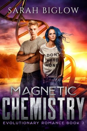 Cover of Magnetic Chemistry: A Young Adult Paranormal Romance Novella