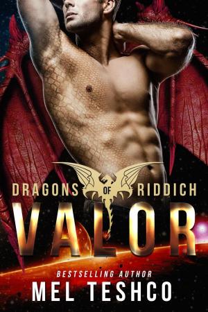 Cover of the book Valor by YS Pascal