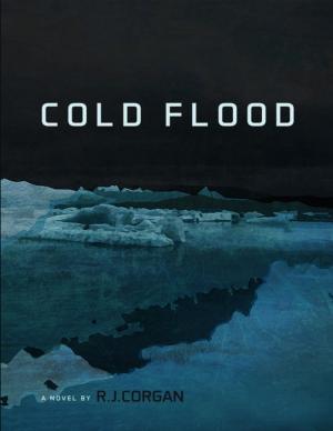 Cover of the book Cold Flood by Nattacia Satie