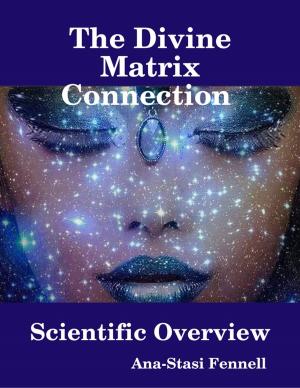 Cover of the book The Divine Matrix Connection - Scientific Overview by Joe Bondi Beach