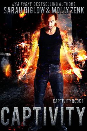 Cover of the book Captivity (Captivity Book 1) by Morgan Wood