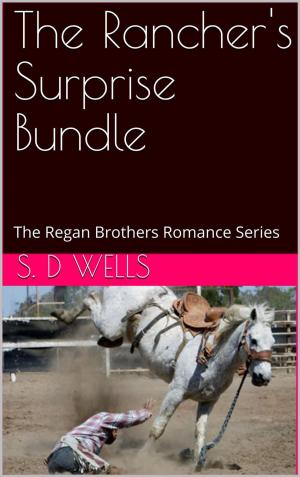 Book cover of The Rancher's Surprise Bundle