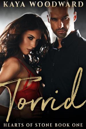 Cover of the book Torrid by L.J.B. Fraser