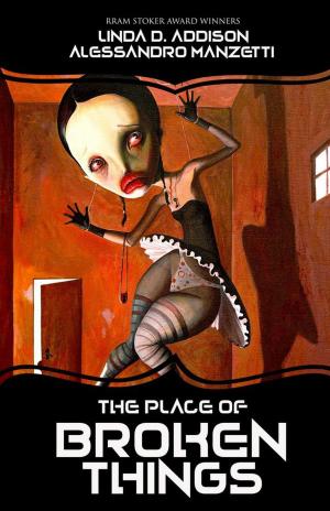 Cover of the book The Place of Broken Things by Bruce Boston
