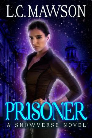 Cover of the book Prisoner by David Allen Collinsworth