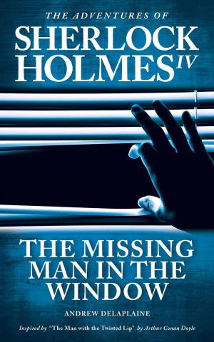 Cover of the book The Missing Man in the Window by Andrew Delaplaine