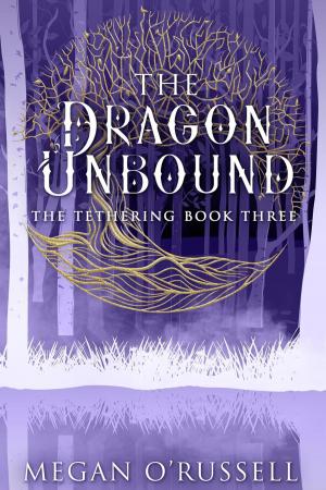 Book cover of The Dragon Unbound