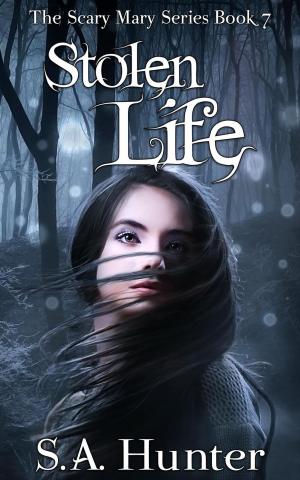 bigCover of the book Stolen Life by 