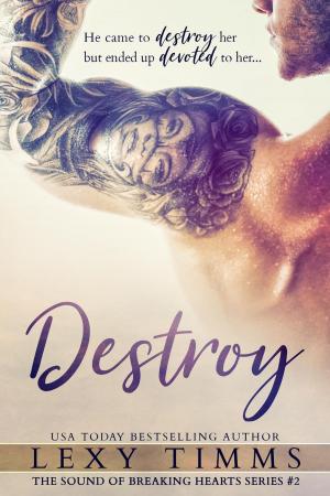 Cover of the book Destroy by Lexy Timms