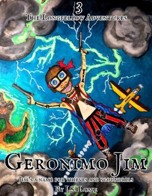 Book cover of Geronimo Jim