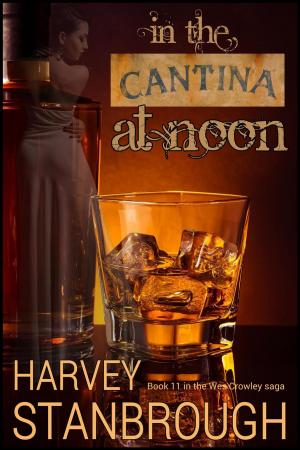 Cover of the book In the Cantina at Noon by Eric Stringer