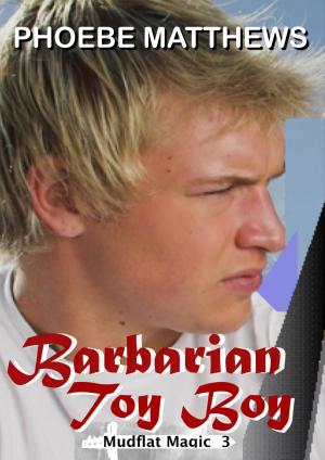 Cover of the book Barbarian Toy Boy by Darlene Crain