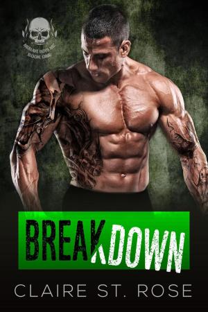Cover of the book Breakdown by Evelyn Glass