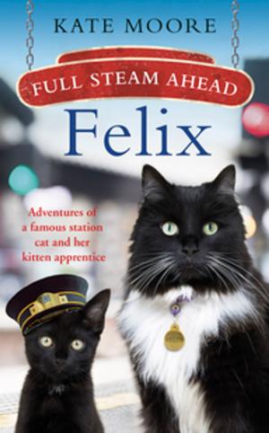 Cover of the book Full Steam Ahead, Felix by Garrett Stevens