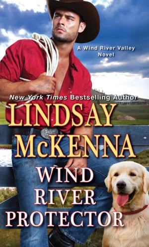 Book cover of Wind River Protector