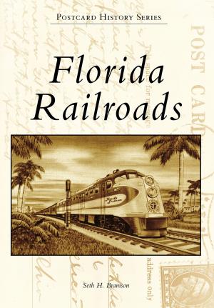 Book cover of Florida Railroads