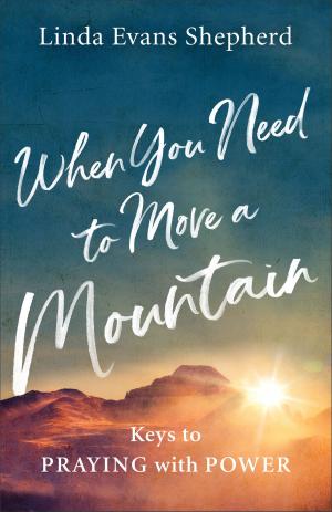 Cover of the book When You Need to Move a Mountain by Keith R. Miller, Patricia A. Miller