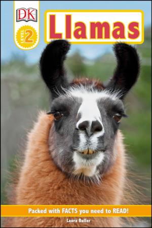 Book cover of DK Readers Level 2: Llamas