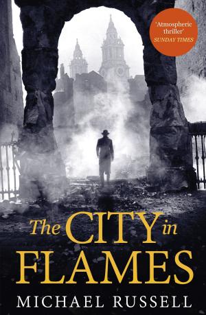 Book cover of The City in Flames