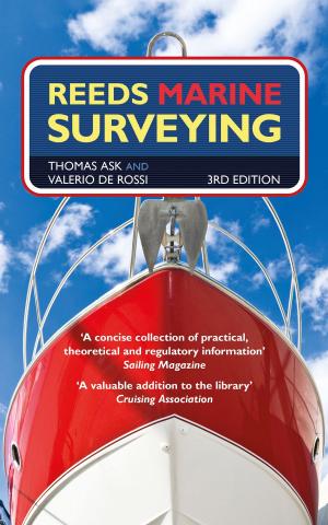 bigCover of the book Reeds Marine Surveying by 