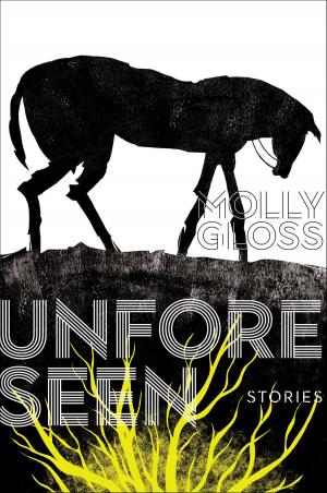 Cover of the book The Unforeseen by Dan Gallagher