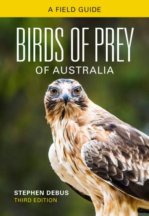 Cover of the book Birds of Prey of Australia by Marcus Haward, Kevin O'Toole, Peat Leith, Brian Coffey