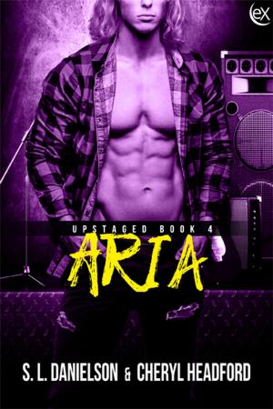 Cover of the book Aria by Sara C. Roethle