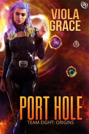 Cover of the book Port Hole by Taryn Jameson, Gabriella Bradley