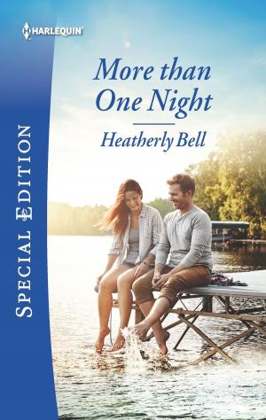 Cover of the book More than One Night by Rachel Vincent
