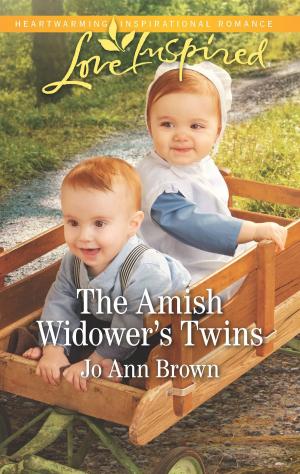 Cover of the book The Amish Widower's Twins by Jenna Ryan