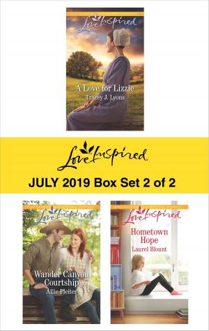 Cover of the book Harlequin Love Inspired July 2019 - Box Set 2 of 2 by Robyn Donald