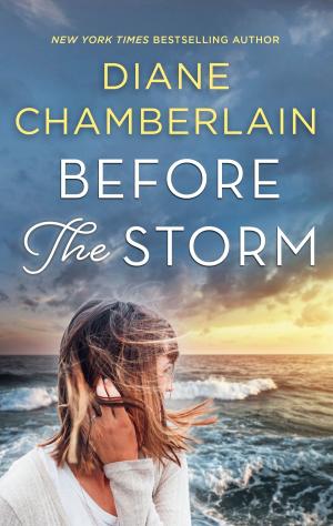 Cover of the book Before the Storm by Sylvie Testud