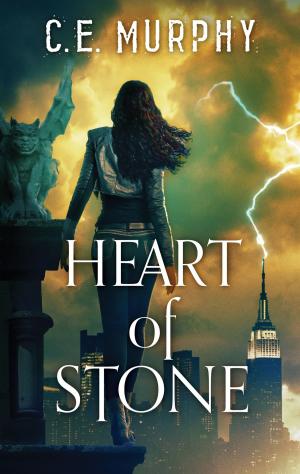 Cover of the book Heart of Stone by Amy B. Reineri