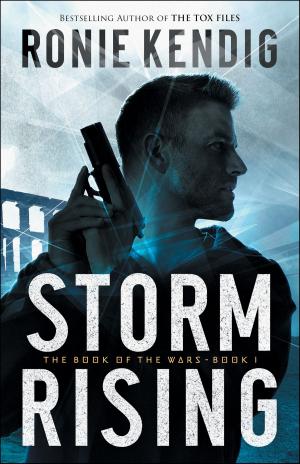 Cover of the book Storm Rising (The Book of the Wars Book #1) by DC Talk