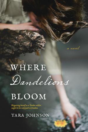Cover of the book Where Dandelions Bloom by Veronica Kendig