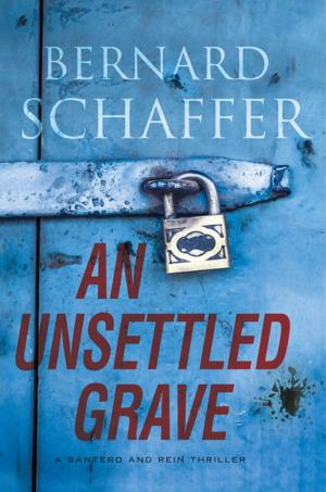 Cover of the book An Unsettled Grave by JAX