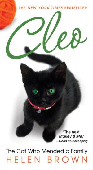 Cover of the book Cleo by Pat Esden