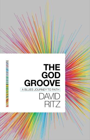 bigCover of the book The God Groove by 