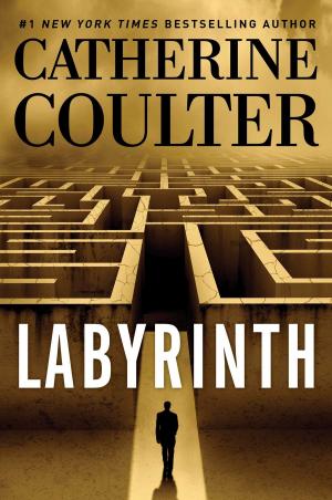 Cover of the book Labyrinth by Lisa Renee Jones