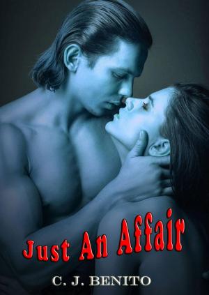 Cover of the book Just An Affair by Britt DeLaney
