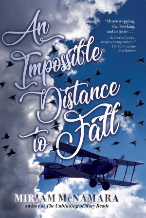 Cover of the book An Impossible Distance to Fall by Kate Scott
