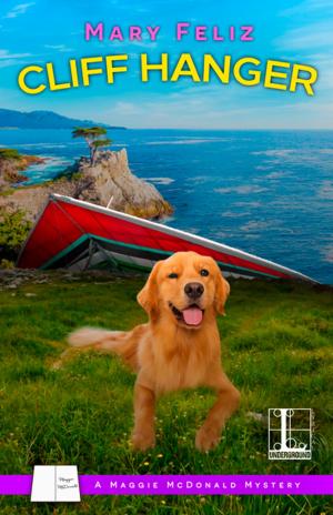Cover of the book Cliff Hanger by Allison B. Hanson