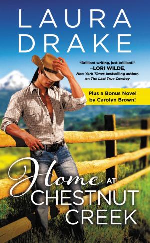 Cover of the book Home at Chestnut Creek by Jeanette Grey
