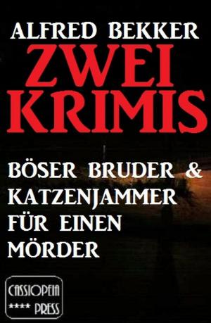 Cover of the book Zwei Krimis: Böser Bruder &amp; Katzenjammer für einen Mörder by Alfred Bekker, Gerd Maximovic, Horst Weymar Hübner, Harvey Patton, Freder van Holk, W. W. Shols, W. K. Giesa
