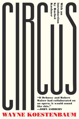 Book cover of Circus