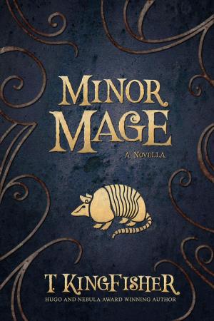 Cover of the book Minor Mage by Simon Basher, Mary Budzik