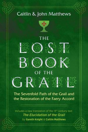 Book cover of The Lost Book of the Grail